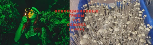 2c-b Пересвет