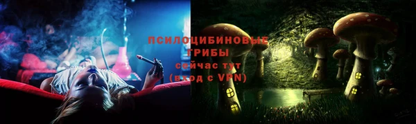 гидра Пестово