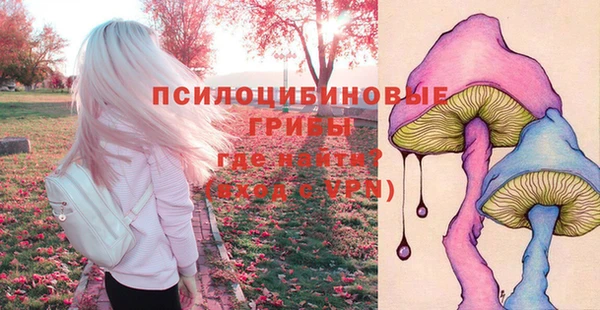 2c-b Пересвет