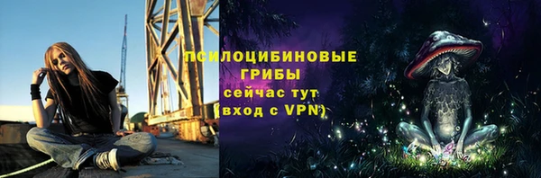 гидра Пестово