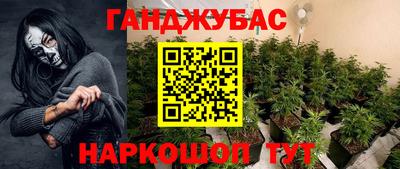 a pvp Дубна