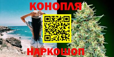 a pvp Дубна