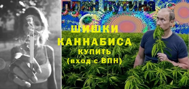 Конопля OG Kush  цена   Красноуфимск 